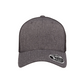 Flexfit 110 Back-Mesh Cap